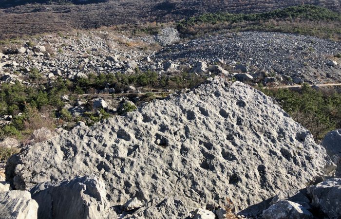 Impronte dei dinosauri, marocche di Dro